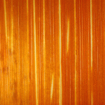 echantillon-orange-lucierichard